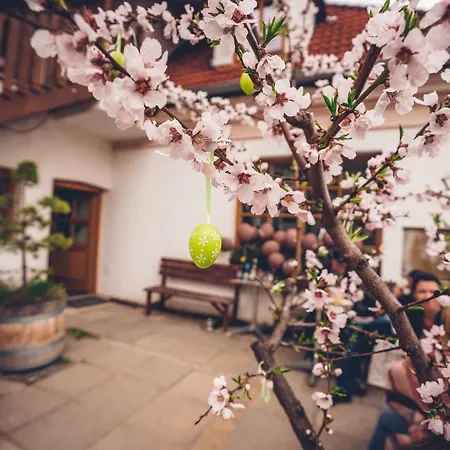 Malý Mnich Bed and breakfast